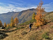 63 Varie vie di discesa, scegliamo quella di sx alle pendici boscose dell'Arete tra larici colorati d'autunno